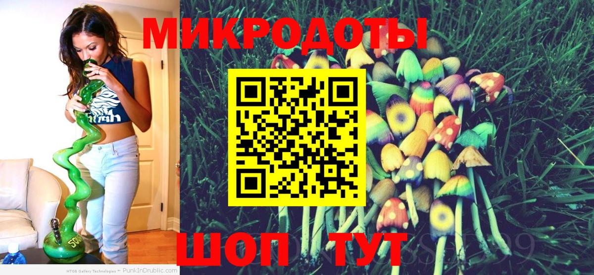 Белгород  Псилоцибиновые грибы Psilocybine cubensis  Вход с VPN 