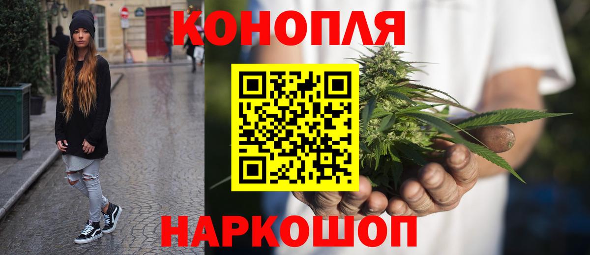 Конопля гибрид  МАРИХУАНА планчик  Вход с VPN  Белгород  Бошки марихуана SATIVA & INDICA 